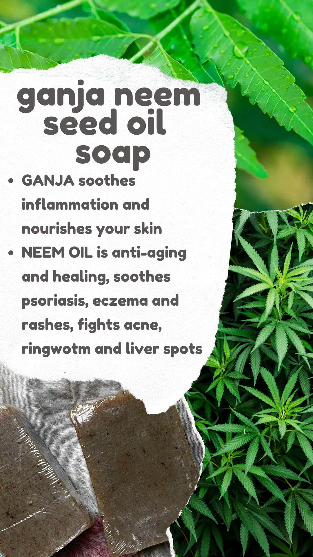 Ganja Neem Oil Soap