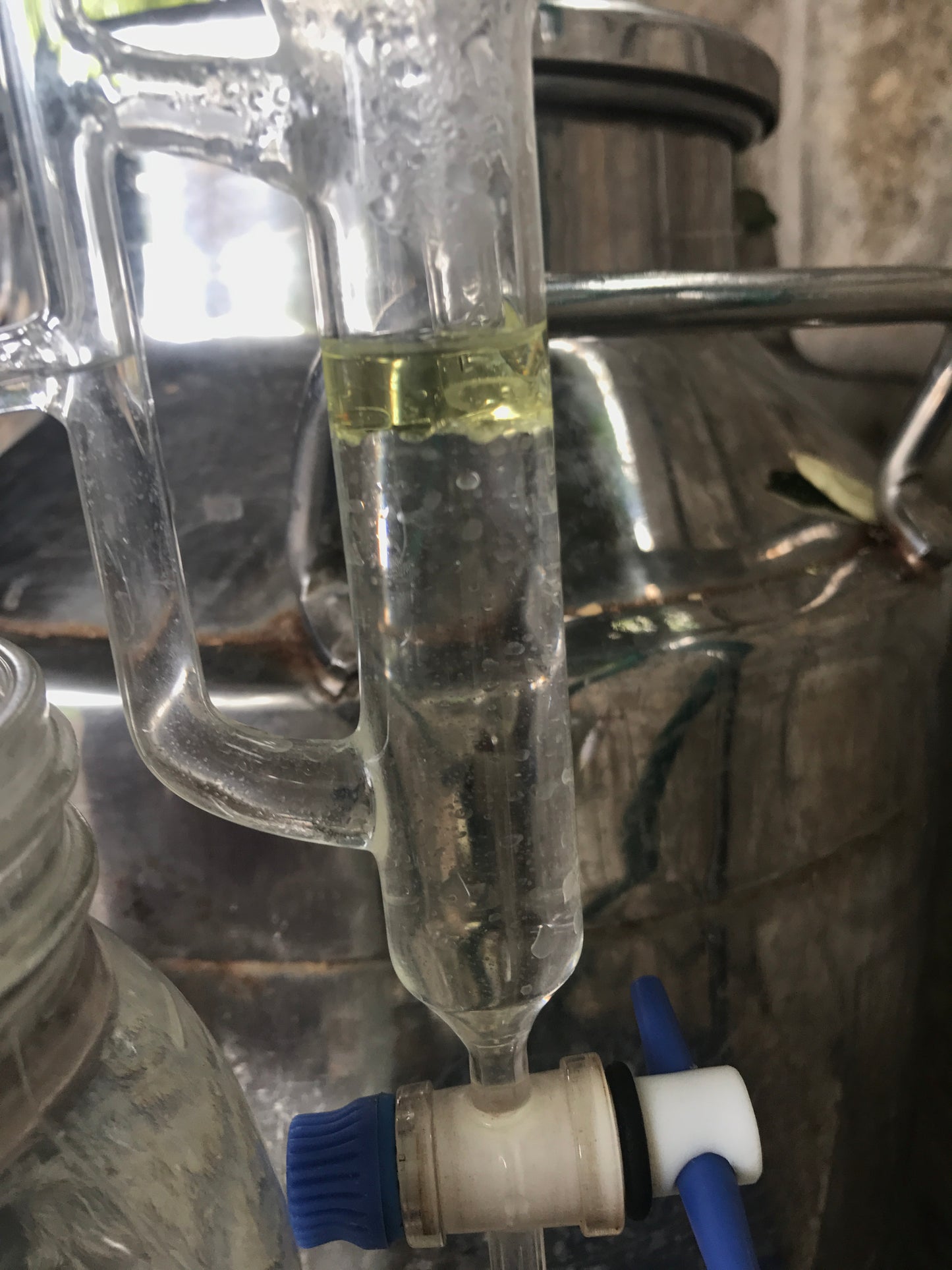 Month Long Essential Oil Distillation Internship