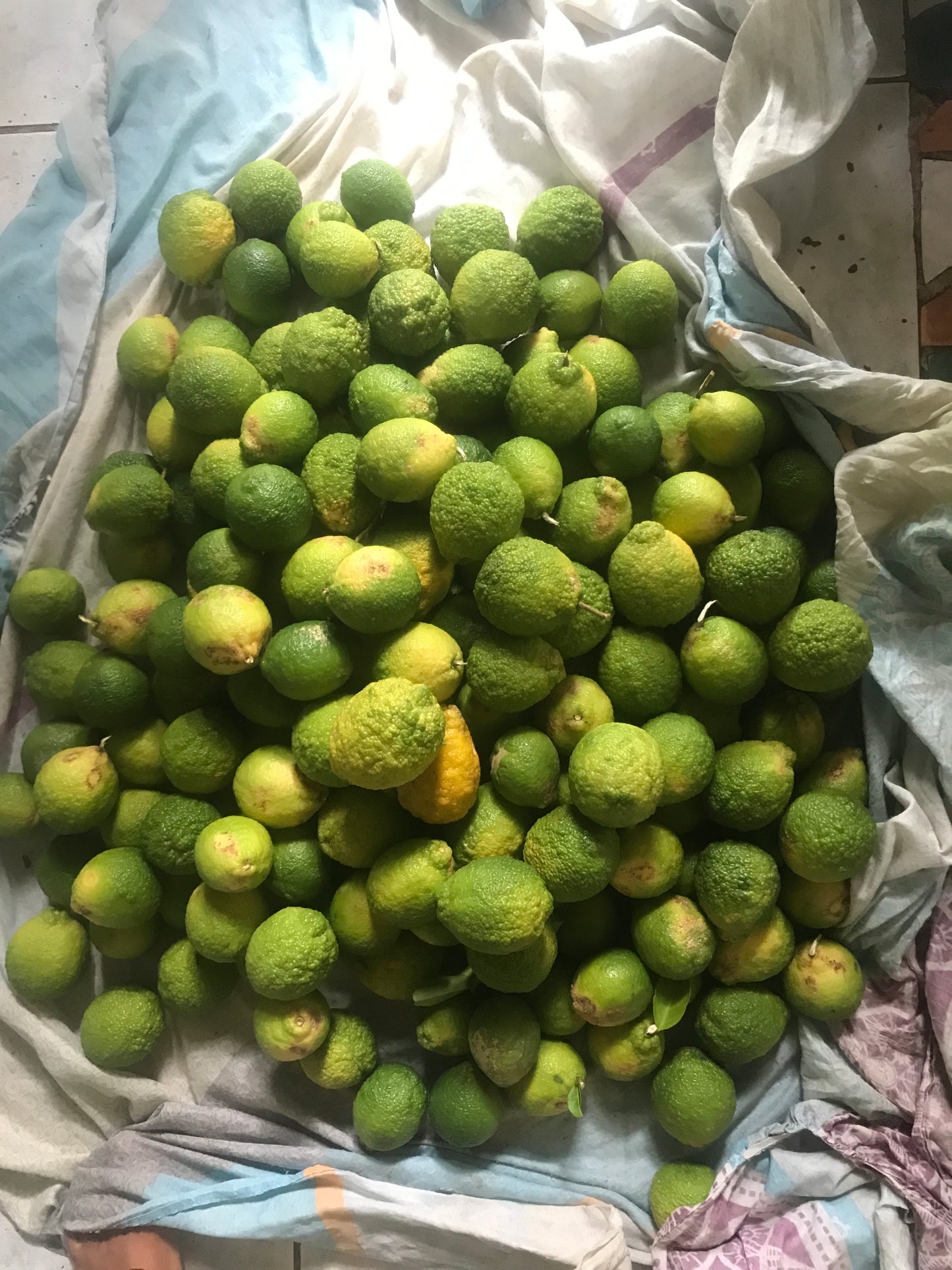 Month Long Essential Oil Distillation Internship