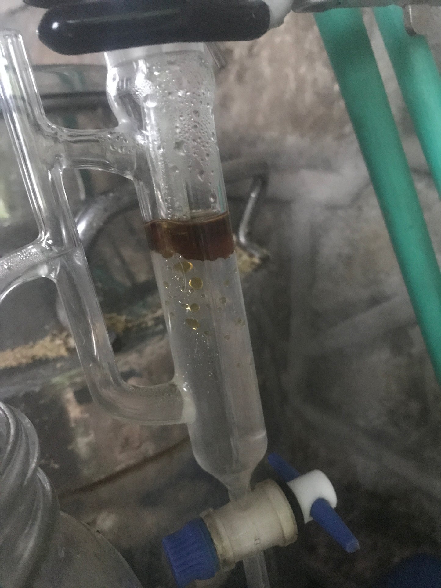 Month Long Essential Oil Distillation Internship