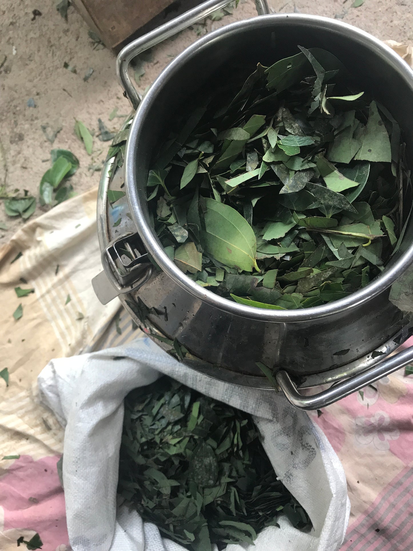 Month Long Essential Oil Distillation Internship
