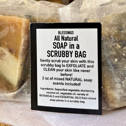 All in One Soap in a Scrubby Bag